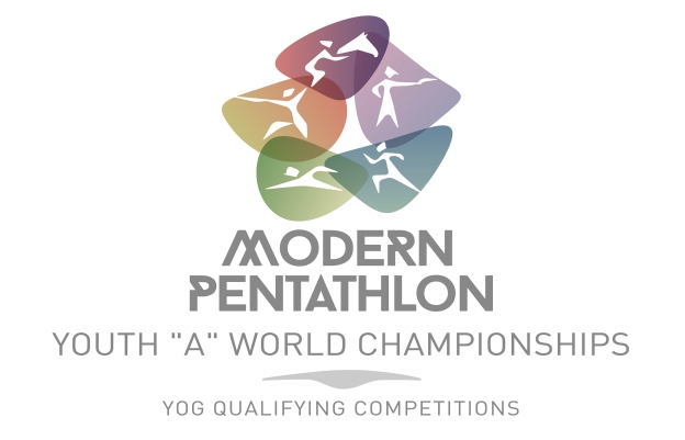 2014 YWCH logo