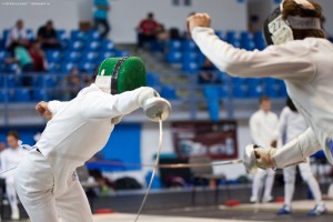 Fencing